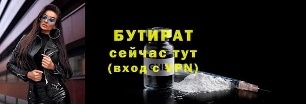 мдпв Богданович