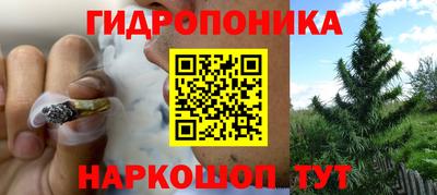 сатива Тара