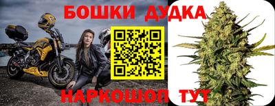МДПВ Татарск