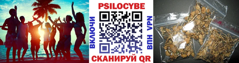 что такое наркотик  Черемхово  площадка состав  Псилоцибиновые грибы мухоморы 
