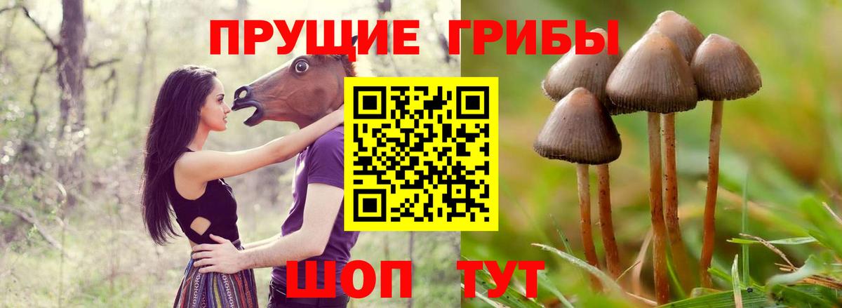 Черемхово  Псилоцибиновые грибы Magic Shrooms  Вход с VPN 